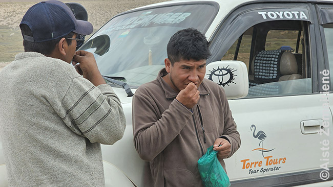 Bolivietis vairuotojas iš maišelio ima ir kramto kokos lapus