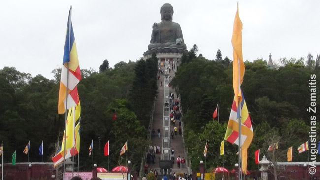 Didysis Honkongo Buda, oficialiai tituluojamas didžiausiu pasaulyje sėdinčiu bronziniu Buda, stovinčiu lauke