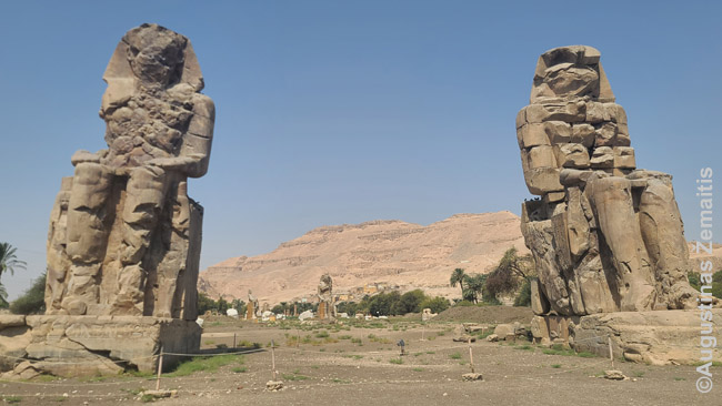 18 m aukščio 4000 metų senumo Memnono kolosai. Kai Luksore lankytinų vietų šitiek daug, jie laikomi tokiais neįspūdingais, kad nė nereikia pirkti bilietų