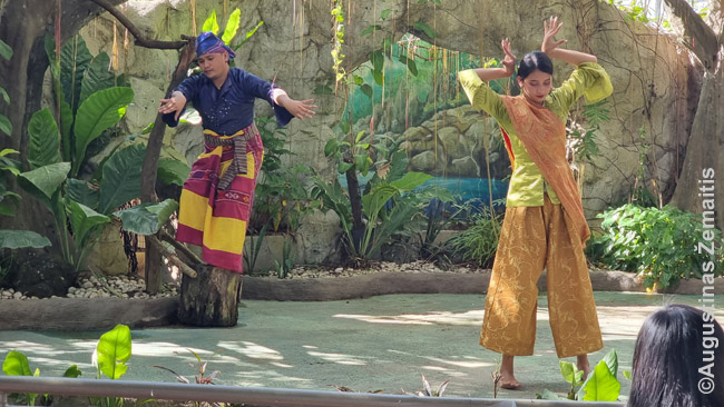 Tautiniai šokiai Mindanao
