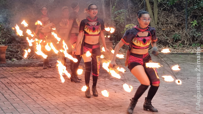 Davao Krokodilų parko ugnies šou