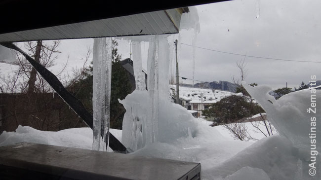 Varvekliai žiemą Japonijos sniego krašte