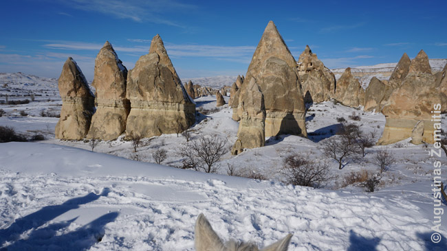 Fėjų kaminais vadinamos olomis išvagotos uolos - Kapadokijos simbolis
