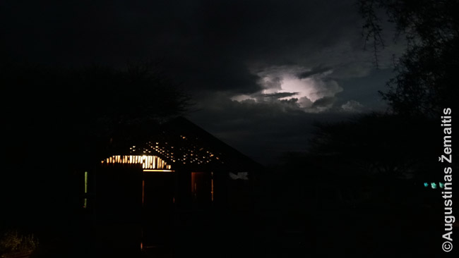 Audra Amboselio stovykloje