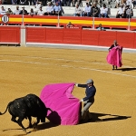 Korida Ispanijoje - viskas, ką reikia žinoti