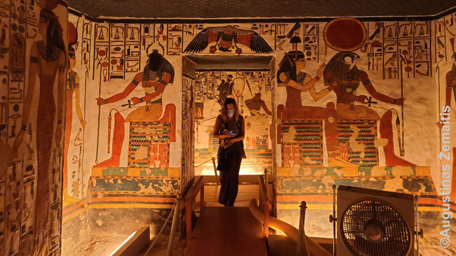 Nefertari kape