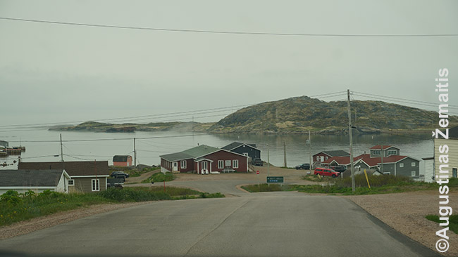 Labradoro pakrantė