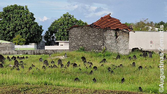 Hanimadū kapinės