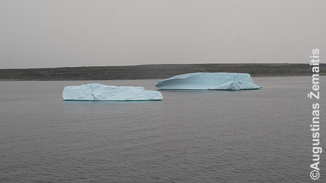 Aisbergai prie Niufaundlendo