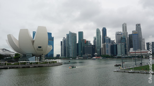 Singapūro centras ir ArtScience muziejus (kairėje)