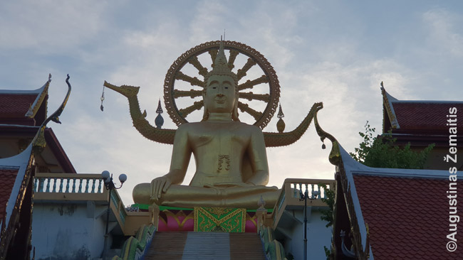 Didysis Buda Ko Samui saloje. Kaip ir dažna šventykla, ši - gana nauja, tačiau spinduliuojanti tokia didybe, kokią Europoje kurdavo tik prieš 100 ar daugiau metų