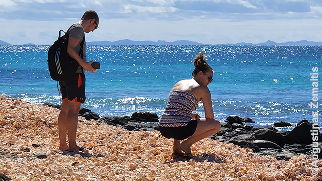 Turistai renka kriaukleles Santa Marijos kriauklelių paplūdimyje