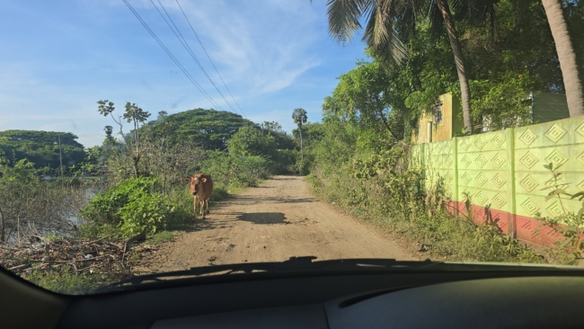 Aurovilio apylinkės