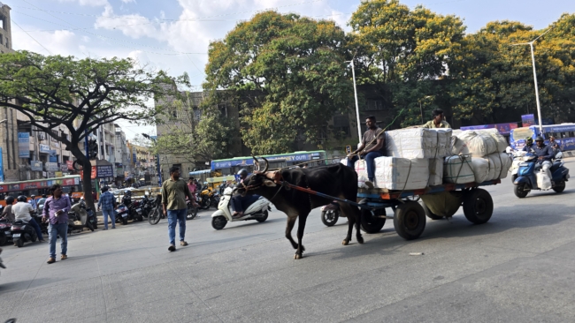 Bangaloro turgaus rajone - ir toks transportas