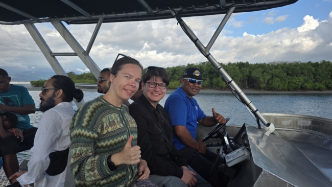 Laivu į Mamanukų saleles