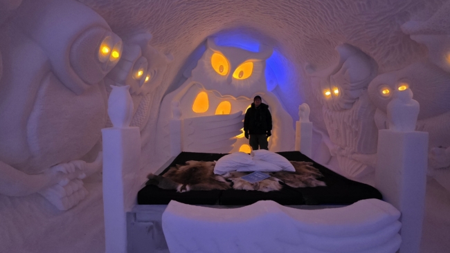 Ledo viešbučio kambaryje pavadinimu Apuokų parlamentas