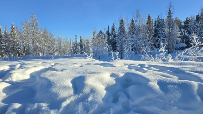 Tipinis peizažas Šiaurėje