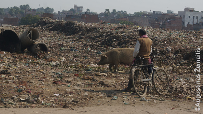 Varanasio vaizdas (toliau nuo šventojo Gango)