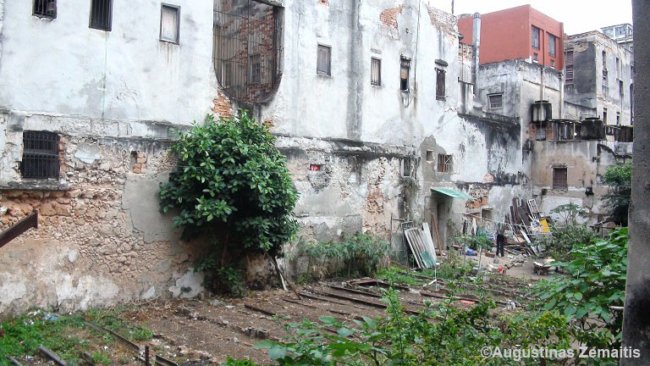 Eilinio Kubos daugiabučio kiemas pro casa particular langą - ten auginamos daržovės. Taip pamatai kitą Kubos veidą.