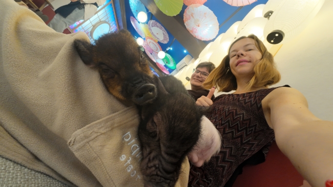 Paršeliai užmigo ant kelių